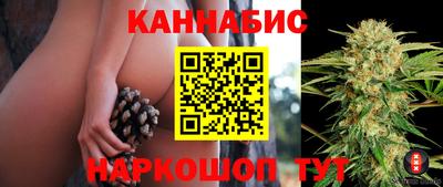 гашик Пугачёв